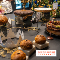 Les bûches de Noël de Jeffrey Cagnes 2024 - photos -  galette des rois 2025