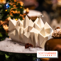 Les bûches de Noël de Jeffrey Cagnes 2024 - photos -  Montage exotique - Cupra