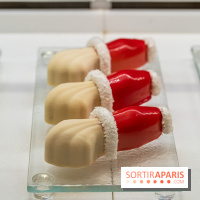 Les Bûches de Noël du Ritz Paris 2024 et les Galettes des Rois 2025 par François Perret - photos -  A7C2542