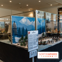 Exposition Playmobil à Fontainebleau - 1er Empire - Napoléon -  A7C7390