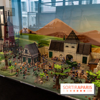 Exposition Playmobil à Fontainebleau - 1er Empire - Napoléon -  A7C7394