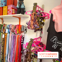 CAYU Canidés Club, la boutique d'accessoires dog friendly - nos photos