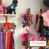 CAYU Canidés Club, la boutique d'accessoires dog friendly - nos photos