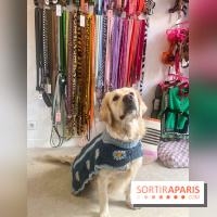 CAYU Canidés Club, la boutique d'accessoires dog friendly - nos photos