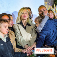Les illuminations de Noël 2024 du Faubourg Saint Honoré avec Emmanuelle Béart - IMG 1537 jpg 2