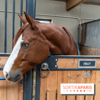 Bo Ranch, le restaurant - bar, site événementiel et lieu de compétition de Reining -  écuries - cheval