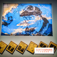Exposition Faits divers : quand l'art contemporain raconte le crime au MAC-VAL - photos