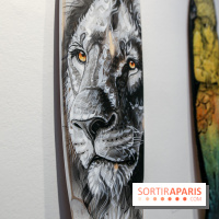 Boards to be solidaire 2024, nos photos - IMG 6875