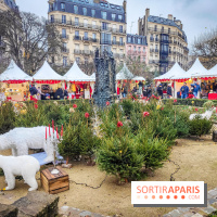 Le Marché de Noël de Notre Dame