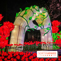 L'Odyssée Lumineuse 2024, le parcours de lumières au Parc Floral - les photos - Amour - roses
