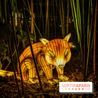 L'Odyssée Lumineuse 2024, le parcours de lumières au Parc Floral - les photos -  pandas roux