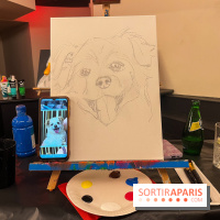 Paint your pet, l'atelier créatif pour peindre votre animal de compagnie - nos photos - image00014