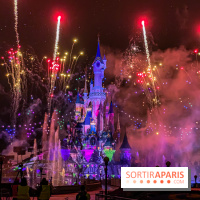 Disney ❤ Notre-Dame de Paris - IMG 1693