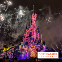 Disney ❤ Notre-Dame de Paris - IMG 1728