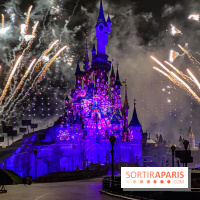 Disney ❤ Notre-Dame de Paris