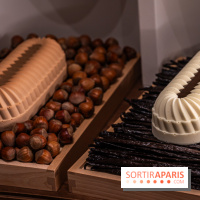 Les Bûches de Noêl de Pleincœur par maxime Frédéric -  A7C8355