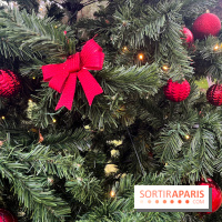 Noël au Jardin d'Acclimatation 2024  - image00029