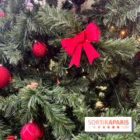 Noël au Jardin d'Acclimatation 2024  - image00030