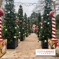 Noël au Jardin d'Acclimatation 2024  - image00018