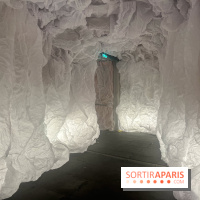 L'océan de Léa, l'exposition événement à la patinoire de Saint-Ouen - nos photos