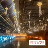 L'océan de Léa, l'exposition événement à la patinoire de Saint-Ouen - nos photos - image00040