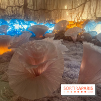 L'océan de Léa, l'exposition événement à la patinoire de Saint-Ouen - nos photos - image00041