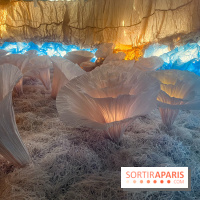 L'océan de Léa, l'exposition événement à la patinoire de Saint-Ouen - nos photos - image00042