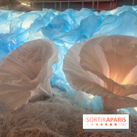 L'océan de Léa, l'exposition événement à la patinoire de Saint-Ouen - nos photos - image00044