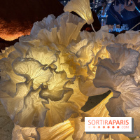 L'océan de Léa, l'exposition événement à la patinoire de Saint-Ouen - nos photos - image00032