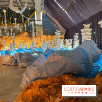 L'océan de Léa, l'exposition événement à la patinoire de Saint-Ouen - nos photos - image00026