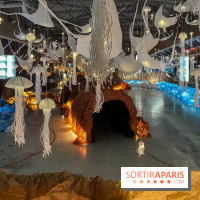 L'océan de Léa, l'exposition événement à la patinoire de Saint-Ouen - nos photos - image00009