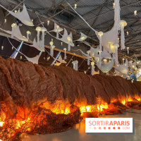 L'océan de Léa, l'exposition événement à la patinoire de Saint-Ouen - nos photos - image00011