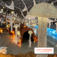 L'océan de Léa, l'exposition événement à la patinoire de Saint-Ouen - nos photos - image00008