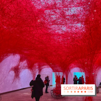 The Soul Trembles - IMG 7628