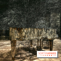 The Soul Trembles - IMG 7667