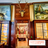 Musée de la chasse et de la nature - collections permanentes et visuels