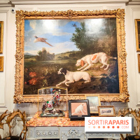 Musée de la chasse et de la nature - collections permanentes et visuels