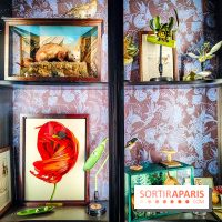 Musée de la chasse et de la nature - collections permanentes et visuels