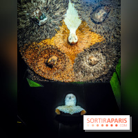 Musée de la chasse et de la nature - collections permanentes et visuels - IMG20241209151300