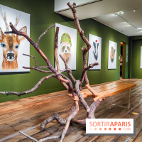 S'éclairer sans fin : l'exposition poétique d'Edi Dubien au musée de la Chasse et de la Nature - photos