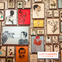 S'éclairer sans fin : l'exposition poétique d'Edi Dubien au musée de la Chasse et de la Nature - photos - IMG20241209145732