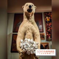 S'éclairer sans fin : l'exposition poétique d'Edi Dubien au musée de la Chasse et de la Nature - photos - IMG20241209152648