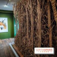 S'éclairer sans fin : l'exposition poétique d'Edi Dubien au musée de la Chasse et de la Nature - photos - IMG20241209153732