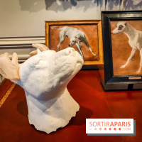 S'éclairer sans fin : l'exposition poétique d'Edi Dubien au musée de la Chasse et de la Nature - photos