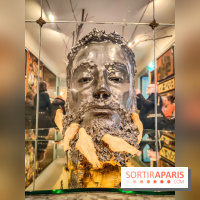 S'éclairer sans fin : l'exposition poétique d'Edi Dubien au musée de la Chasse et de la Nature - photos - IMG20241209152242