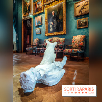 S'éclairer sans fin : l'exposition poétique d'Edi Dubien au musée de la Chasse et de la Nature - photos - IMG20241209150642