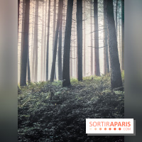 Silence : l'exposition immersive se dévoile à la Cité des Sciences et de l'Industrie - IMG20241210102205