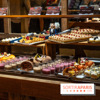 Noël au Parc Astérix 2024 - nos photos - Quai de lutèce 