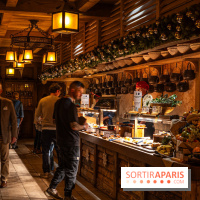 Noël au Parc Astérix 2024 - nos photos -  Quai de lutèce 