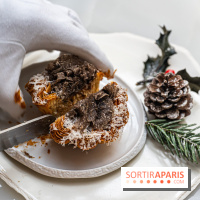 Le tea time de Noël du Four Seasons George V - photos -  A7C9000